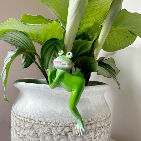 Accroche Pot Grenouille Mignonne | Déco Plante Résine Originale