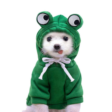 Sweat Grenouille pour Chien & Chat | Costume Amusant 4 Couleurs