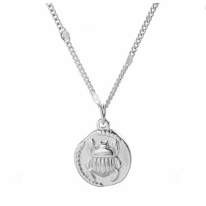 Collar Escarabajo Sol – Acero Inoxidable Oro o Plata
