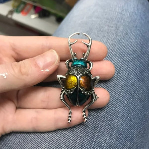 Broche Scarabée Vintage | Bijou Insecte Coloré & Unique