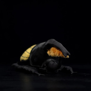 Peluche Scarabée Soleil Doré | Jouet Insecte Géant Mignon