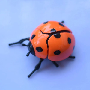 Jouet Coccinelle Sauteuse à Remonter | Cadeau Mignon & Amusant