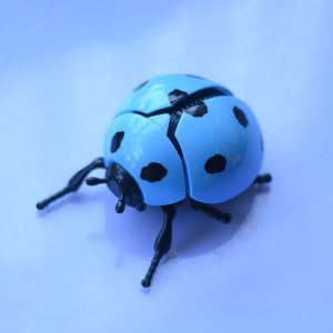 Jouet Coccinelle Sauteuse à Remonter | Cadeau Mignon & Amusant