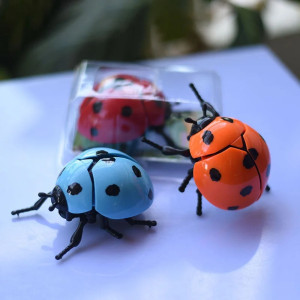 Jouet Coccinelle Sauteuse à Remonter | Cadeau Mignon & Amusant