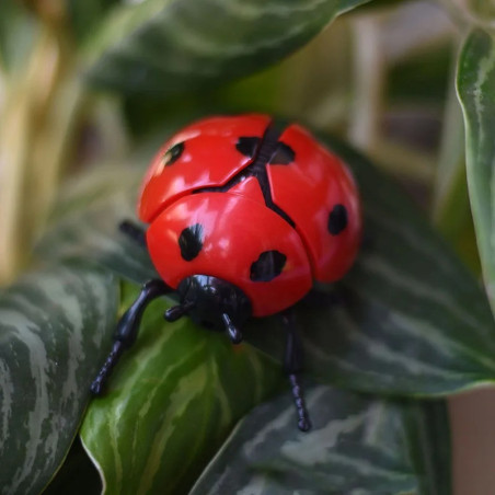Bouncing Ladybug Wind-Up Toy | Cute & Funny Desk Gift