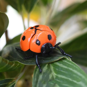 Bouncing Ladybug Wind-Up Toy | Cute & Funny Desk Gift
