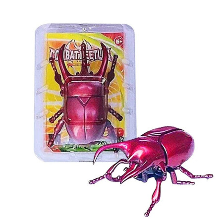 Funny Wind-up Combat Beetle Toy | Unique Gift Idea | 3 Colors