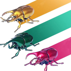 Funny Wind-up Combat Beetle Toy | Unique Gift Idea | 3 Colors