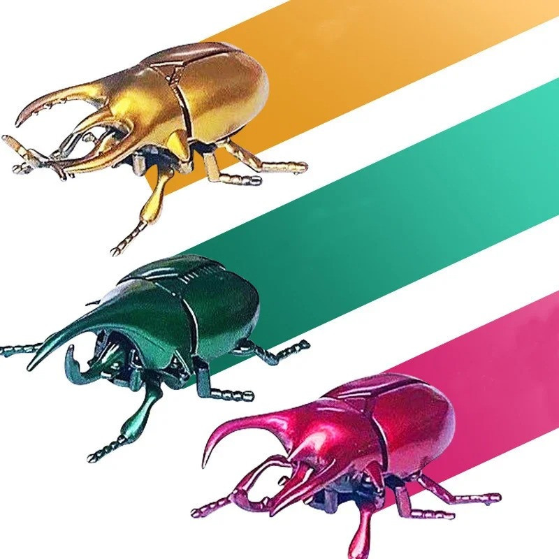 Funny Wind-up Combat Beetle Toy | Unique Gift Idea | 3 Colors
