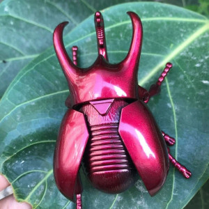 Funny Wind-up Combat Beetle Toy | Unique Gift Idea | 3 Colors