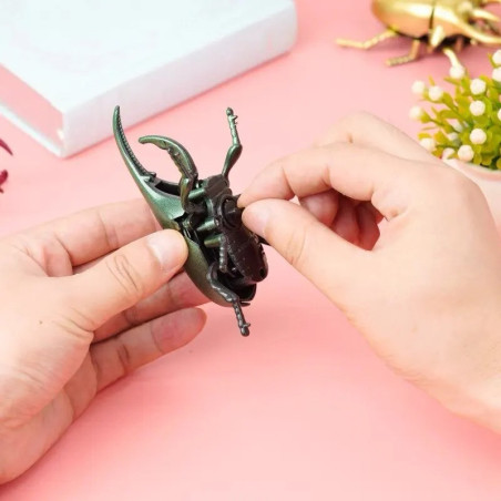 Funny Wind-up Combat Beetle Toy | Unique Gift Idea | 3 Colors