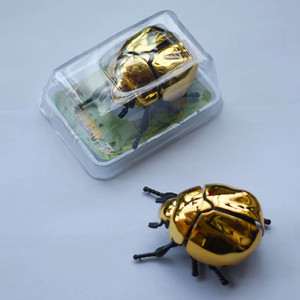 Chrome Wind-Up Beetle Toy | Unique Mechanical Gift | 3 Colors