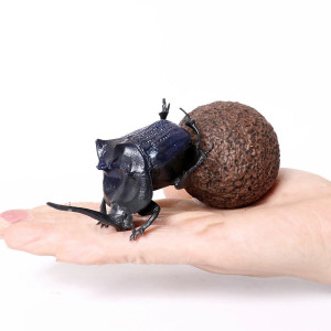 Educational Dung Beetle Figurine | Unique Scarab Toy Gift