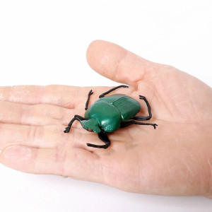 Educational Female Dung Beetle Figurine | Scarab Beetle Toy