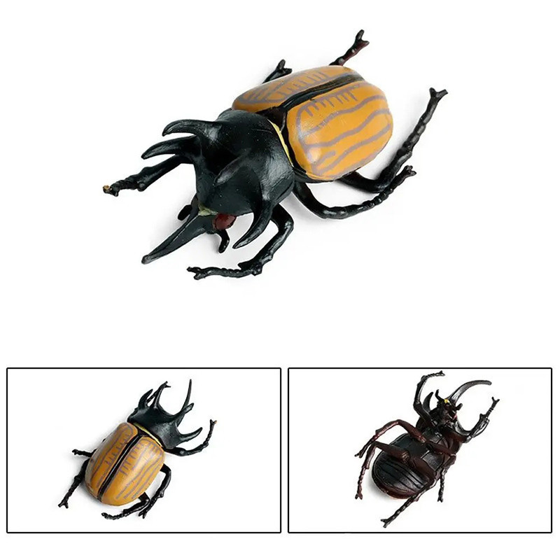Striped Goliath Beetle Figurine - Educational & Decorative Model