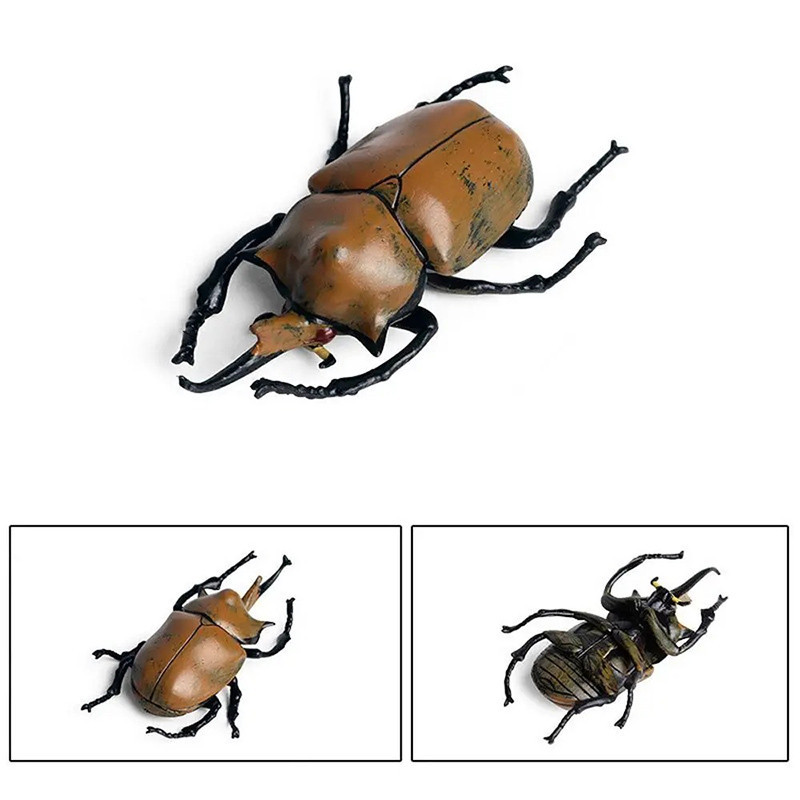 Figurine Éducative Scarabée - Rhinocéros Brun