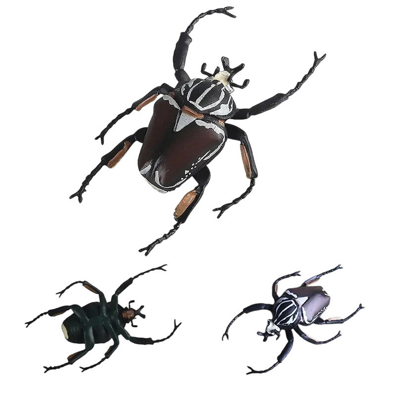 Educational Goliath Beetle Figurine | Realistic Insect Model
