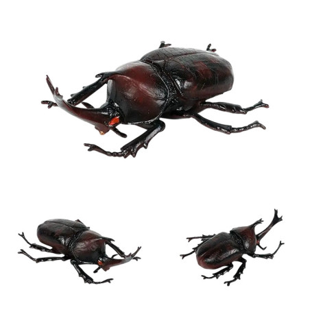 Unique Asian Rhino Beetle Figurine | Educational Insect Toy