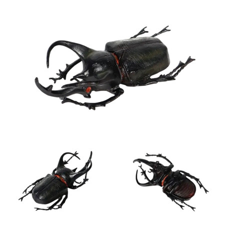Educational Atlas Rhinoceros Beetle Figurine – Realistic Replica