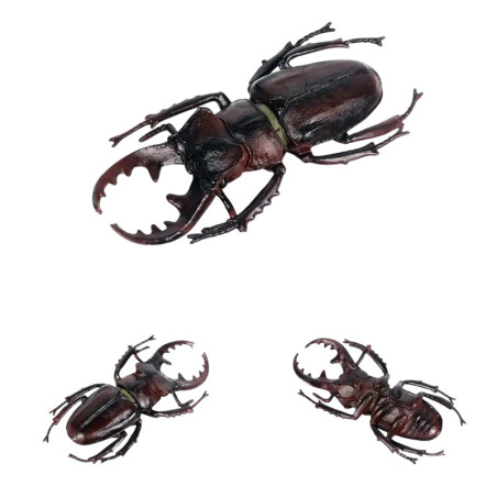 Figurine Lucane Cerf-Volant Géant | Jouet Insecte Éducatif