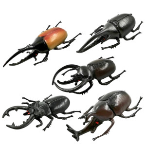 5 Pcs Horned Beetle Toy Set | Unique Educational Insect Gift