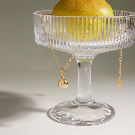 Magnifique Collier Coccinelle Design - Bijou Unique