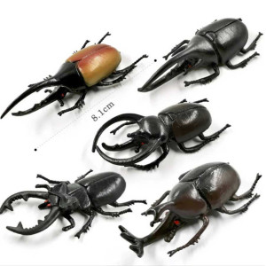 Dimensions Figurines Éducatives Coléoptères - Pack Explorateur Insectes à Cornes