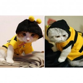 Mignon manteau Sweat à capuche abeille pour chat !