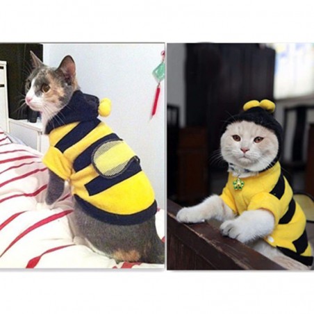 Mignon manteau Sweat à capuche abeille pour chat !