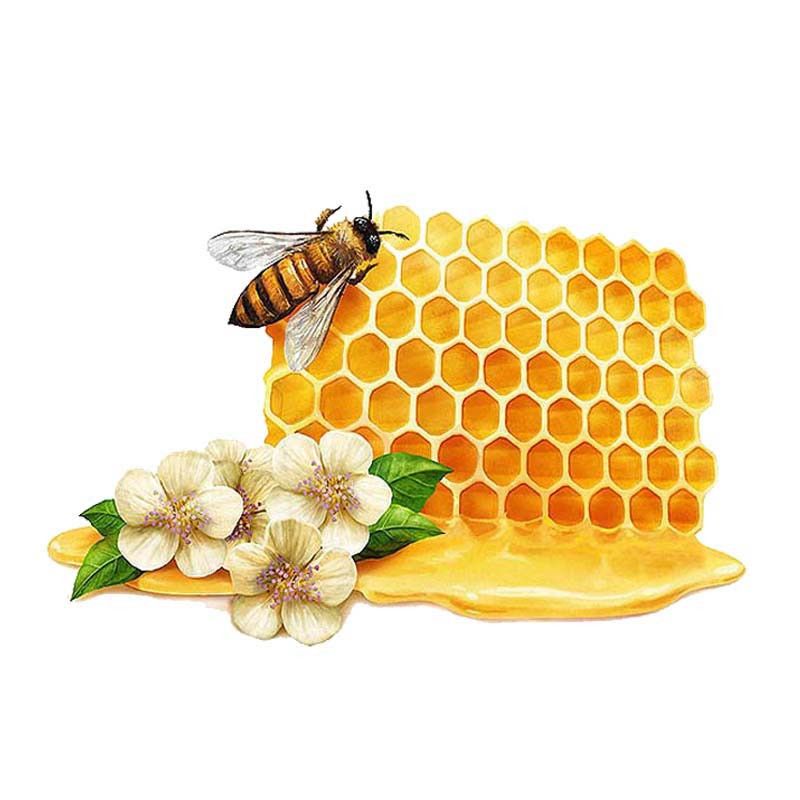 Autocollant Abeille et Miel Délicieux en PVC