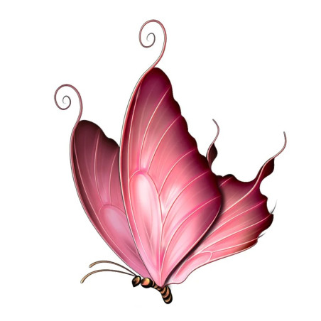 Autocollant Grand Papillon Rose en PVC - 16cm x 13 cm