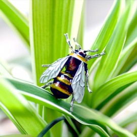 Magnifique Mini broche abeille en émail