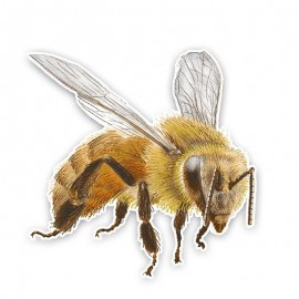 Realistic Bee Sticker for Car | Cute Waterproof Vinyl Decal