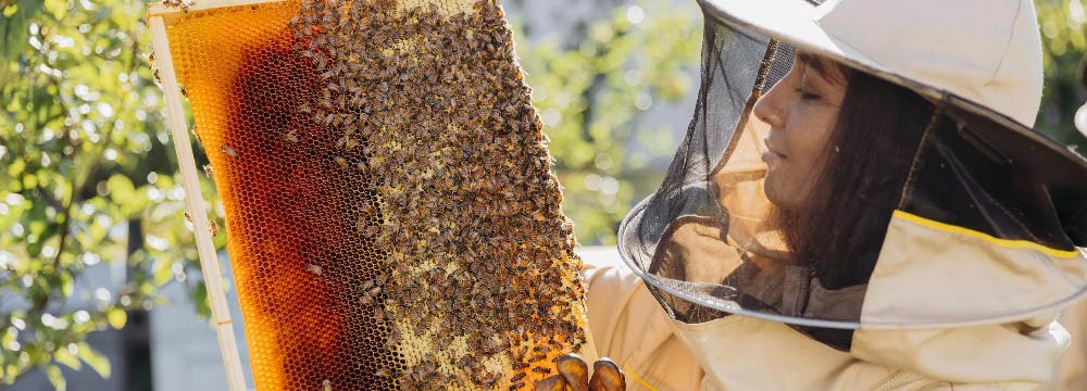 Bee clothing: t-shirts, sweatshirts, accessories and more