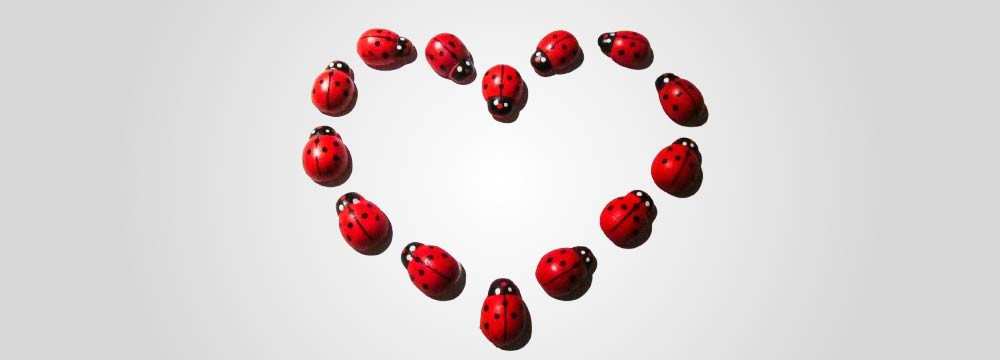 Collane e Ciondoli Coccinella