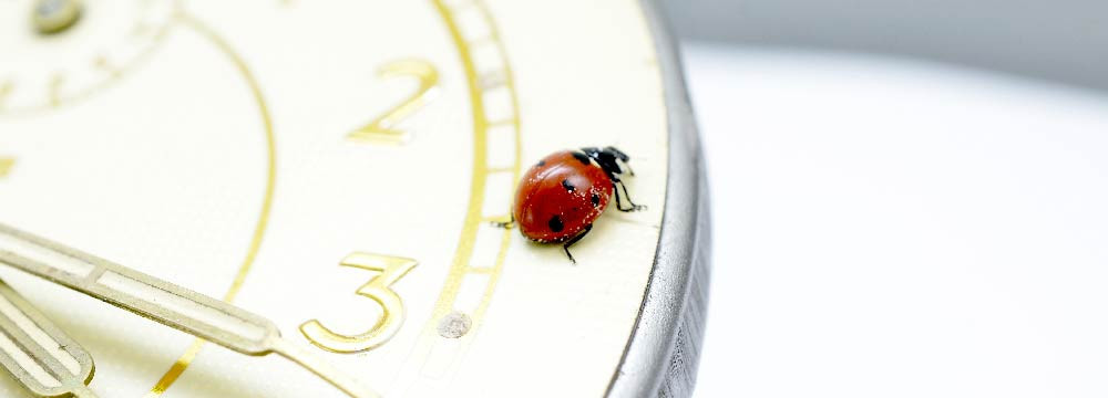 Reloj Mariquita