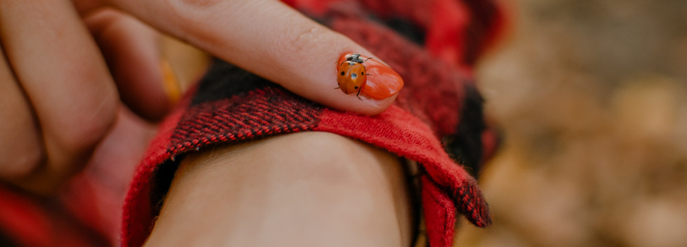 Ladybug Bracelets Collection