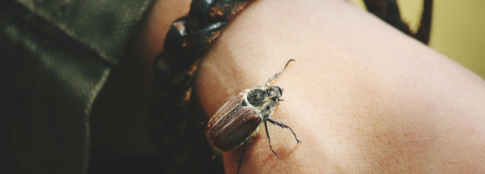Scopri la nostra collezione di bracciali Scarabeo