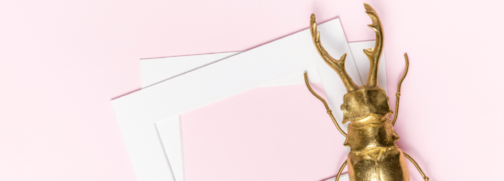 Discover our collection of items on the Beetles theme for Scrapbooking