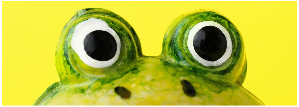Frog Mascots