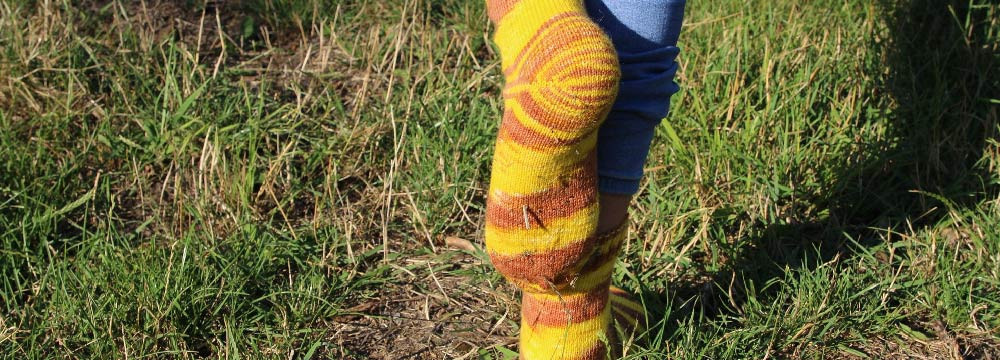 Bee Sock