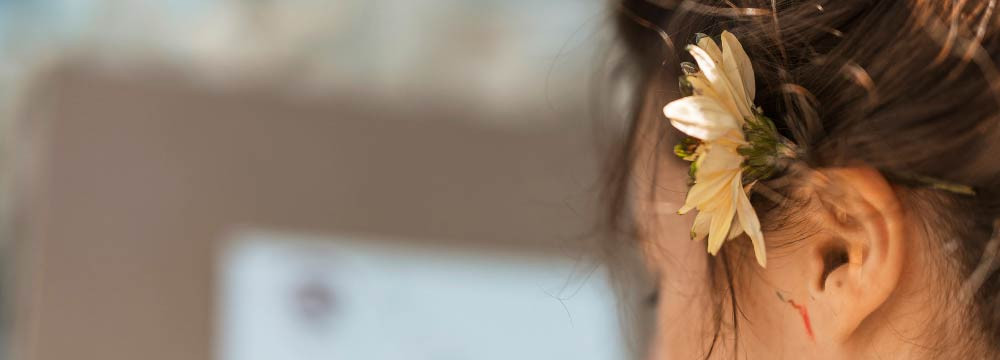 Bee Earring Collection
