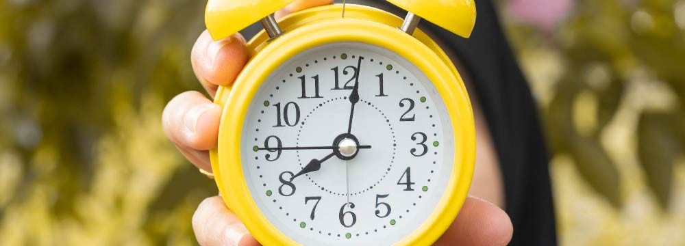 Descubra nuestra selección de relojes de abeja