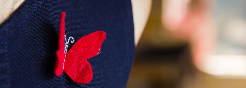 Broche Mariposa