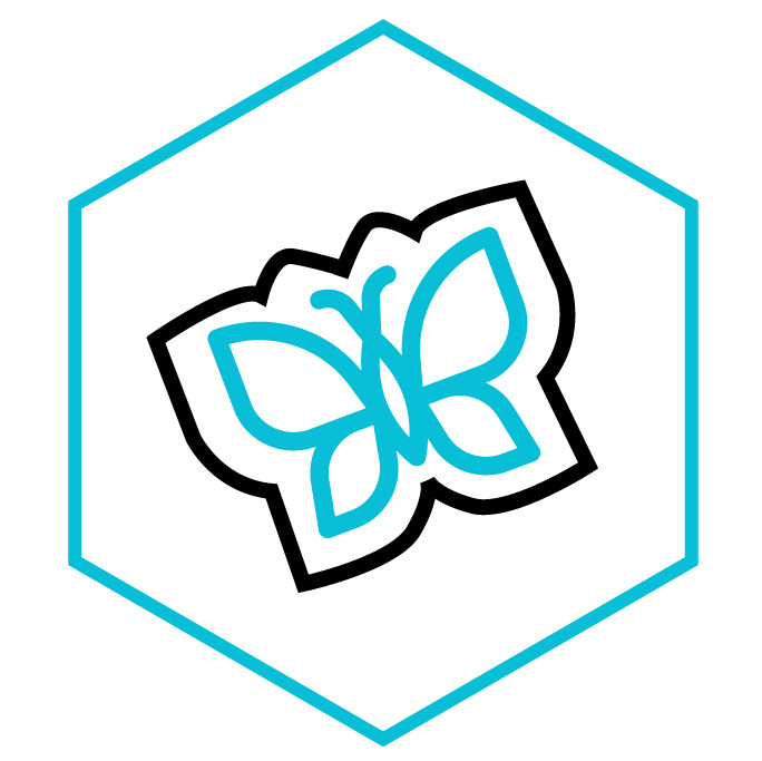 icône de la catégorie Sticker  Autocollant Papillon