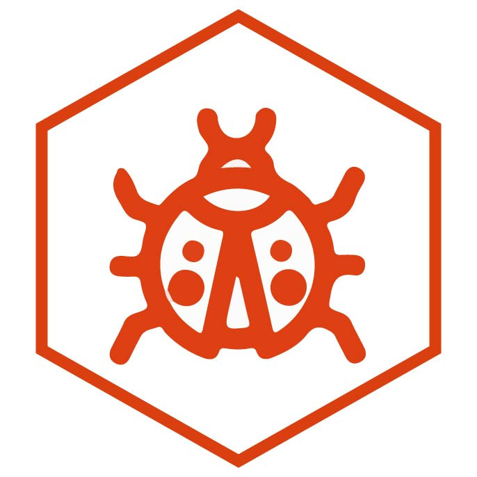 icône de la catégorie Coccinelles
