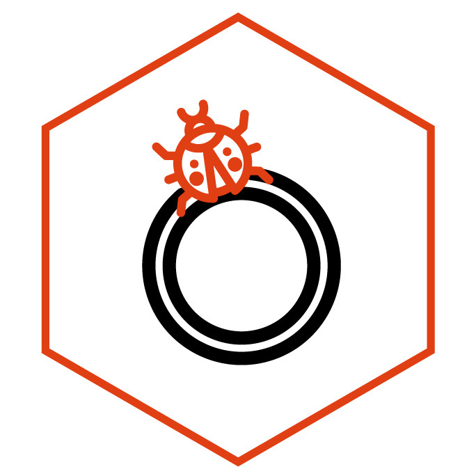 icône de la catégorie Bagues Coccinelle