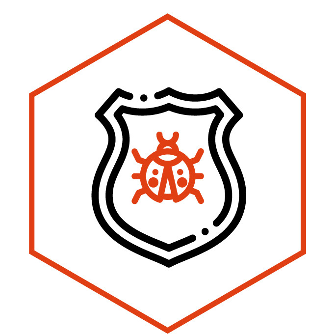 icône de la catégorie Patchs & écussons Coccinelle