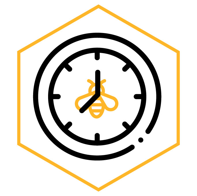 icône de la catégorie Horloge abeille