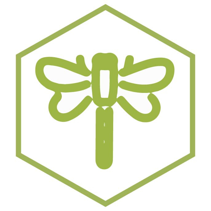 icône de la catégorie Libéllules